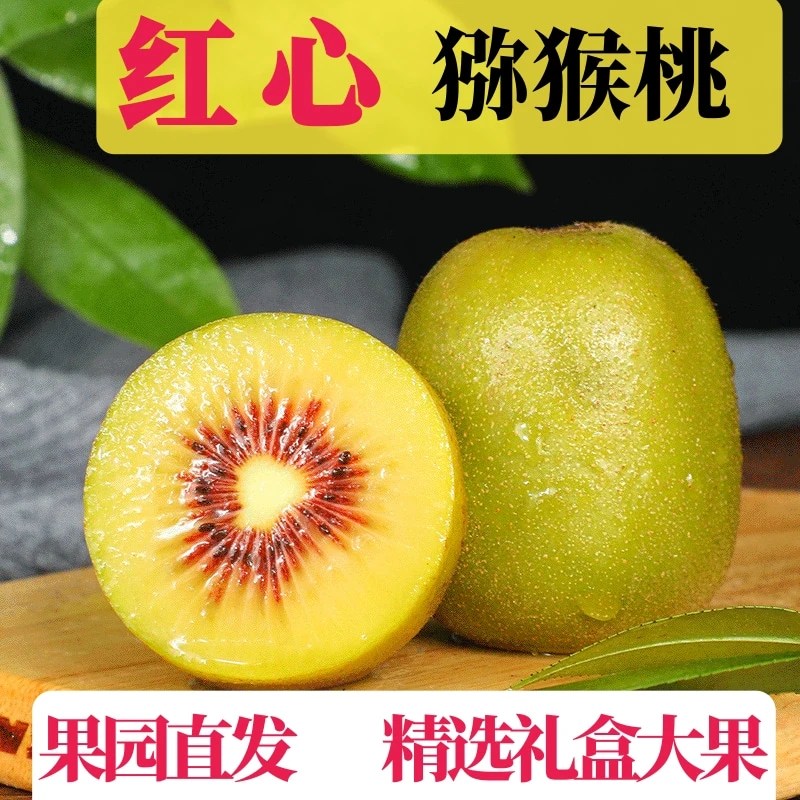 苍溪红心猕猴桃正宗四川猕猴特大果产地直发水果奇异果高档礼盒