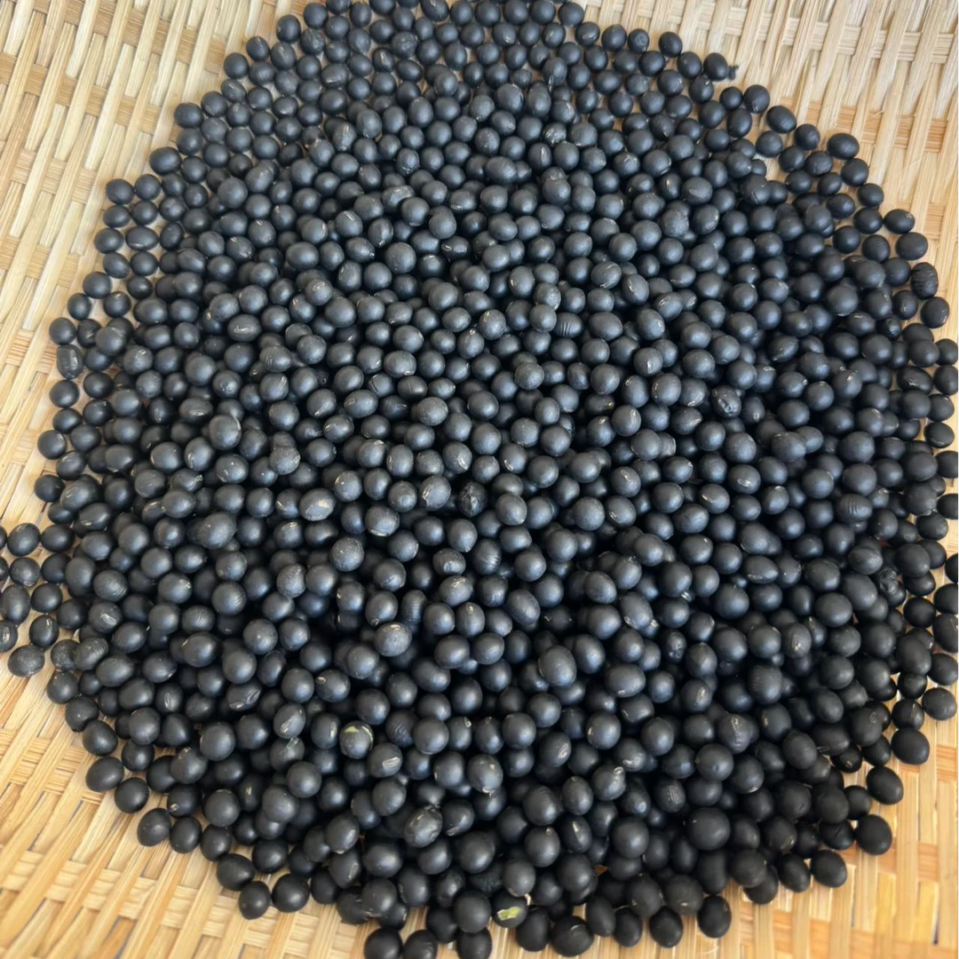 东北黑豆 农家自种 榨豆浆煮粥醋泡