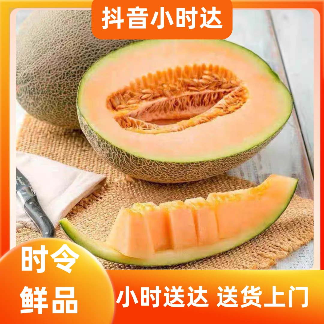 新鲜应季水果超甜小蜜哈密瓜1个（重量约1500g)