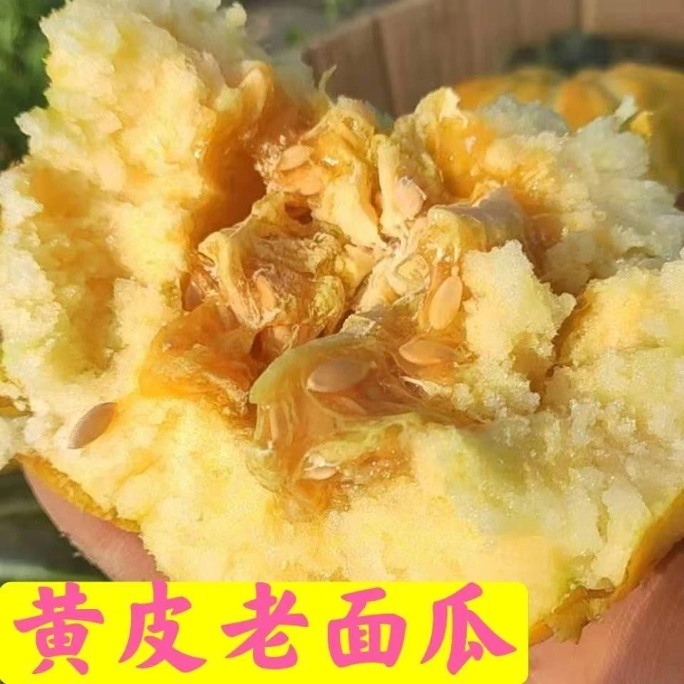 山东老面瓜黑皮面瓜黄皮面瓜花皮面瓜香瓜自家种植现摘顺丰包邮