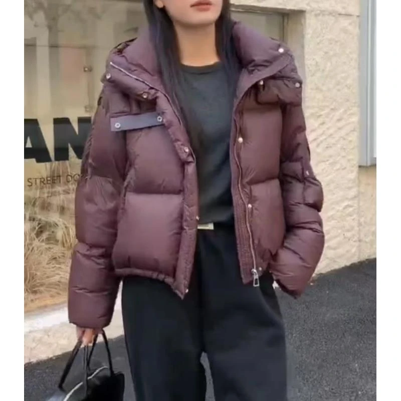 8311号24-902#纯色固定连帽简约韩系填充休闲外套（预）