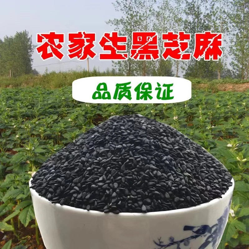 25新精选生黑芝麻白芝麻农家新货特产干净新鲜饱满无沙无染色1