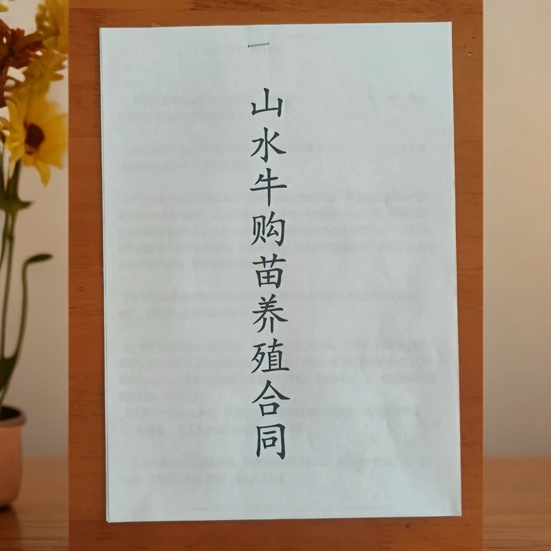 山水牛购苗养殖合同