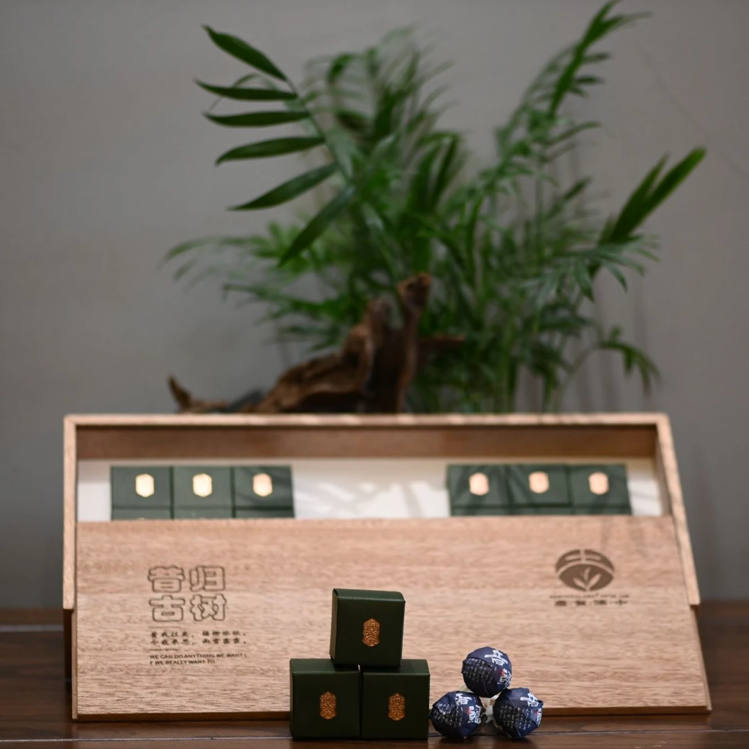 昔归龙珠-普洱生茶126克回甘生津兰香高扬持久滋味淳厚回甘