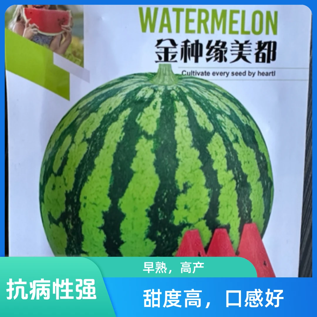 金蜜美都西瓜种子400粒
