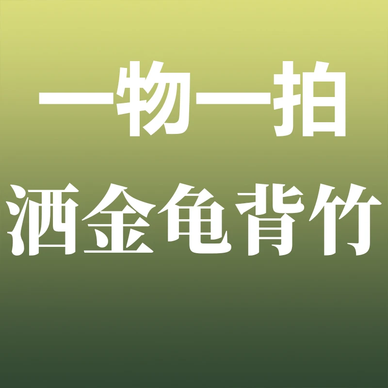 洒金龟背竹（一物一拍/不包路损不售后）