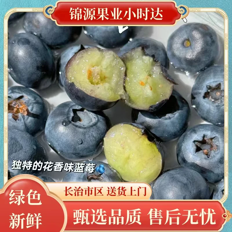 【市场直发】2盒高山蓝莓20+纯甜无酸