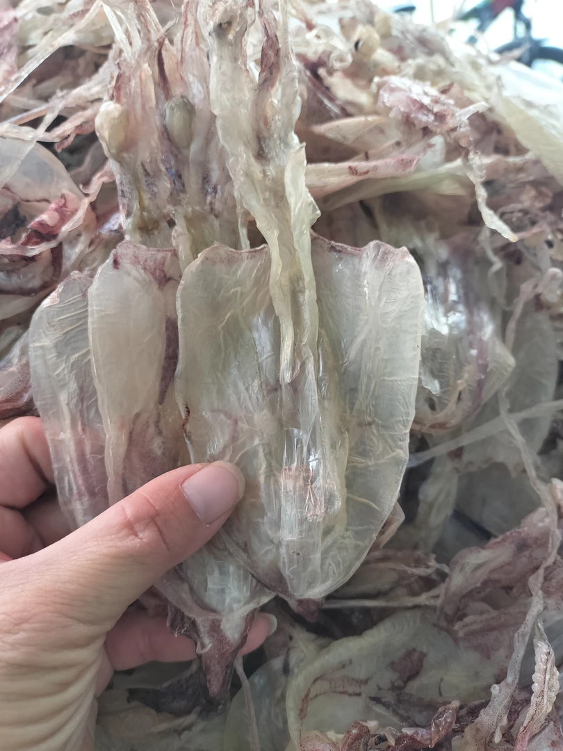 本港三鱿鱼头精品货