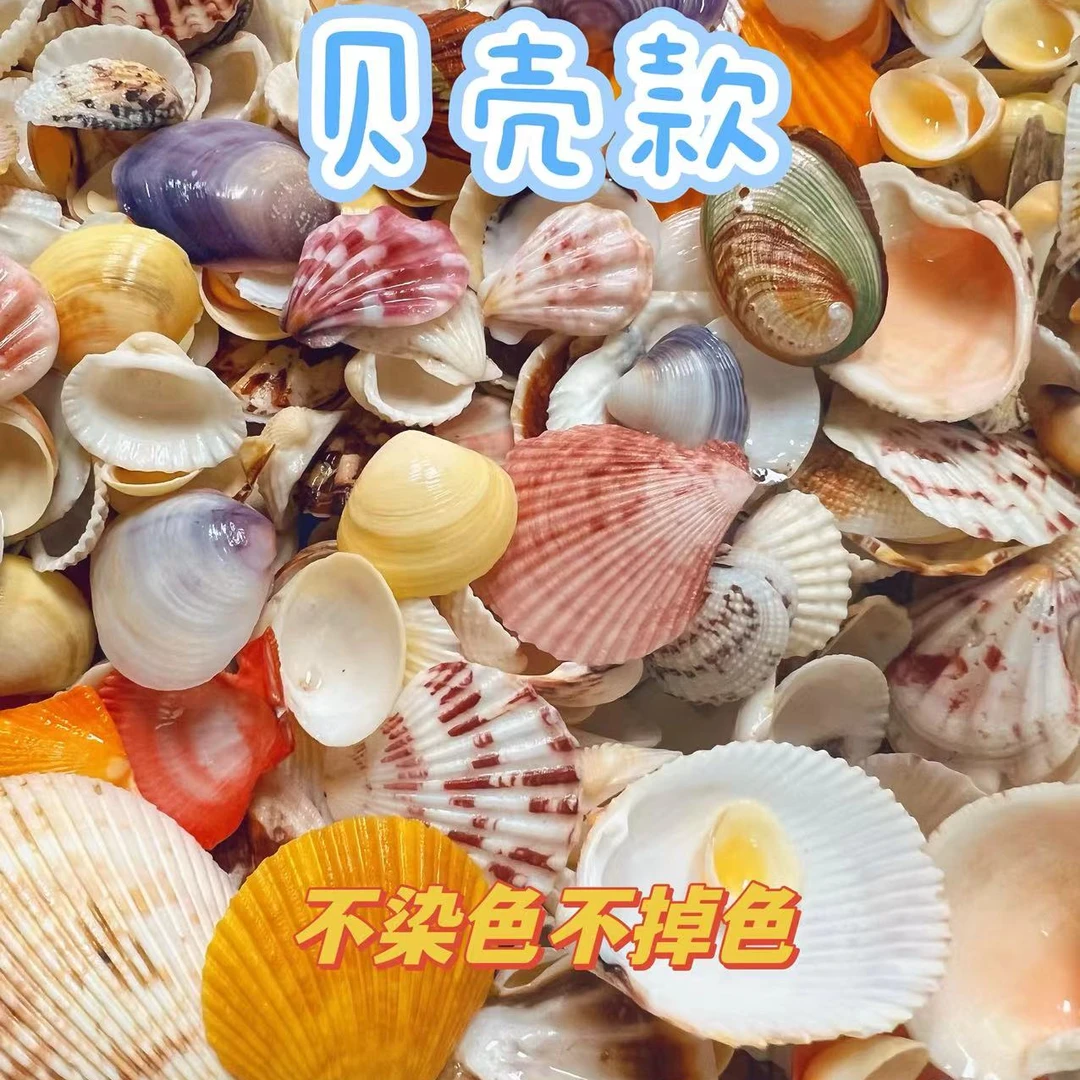 【贝壳款】天然海螺贝壳鱼缸装饰造景DIY手工