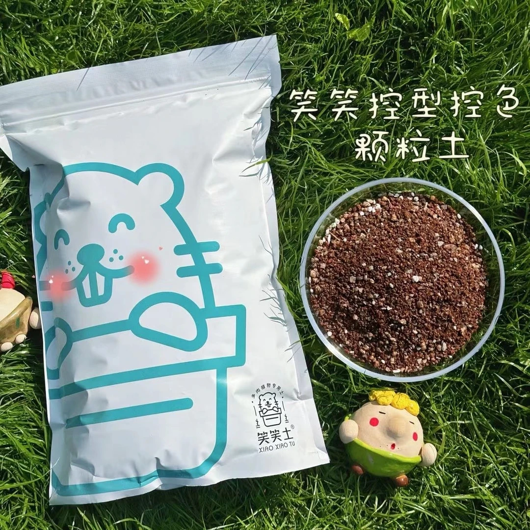 从前慢花园笑笑土自制多肉植物颗粒土铺面石种植专用肉肉营养土