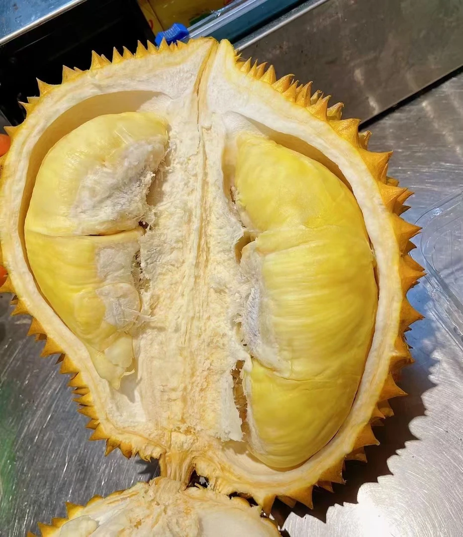 泰国金枕头树上熟榴莲