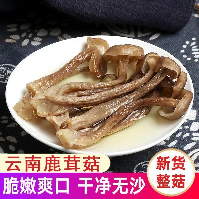 鹿茸菇干货精选脆脆菇当季包邮鹿茸菌鹿茸菇煲汤食材炖汤食用菌菇