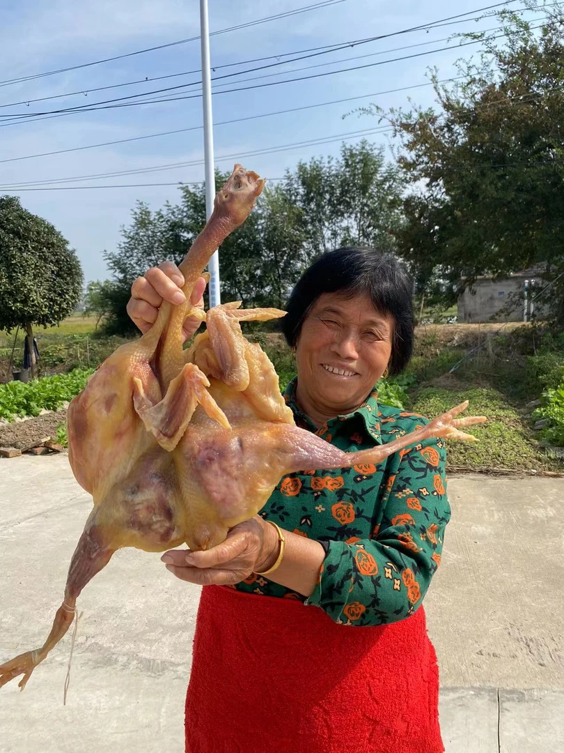 安徽特色风味自然风干鸡手工腌制咸鸡腊鸡