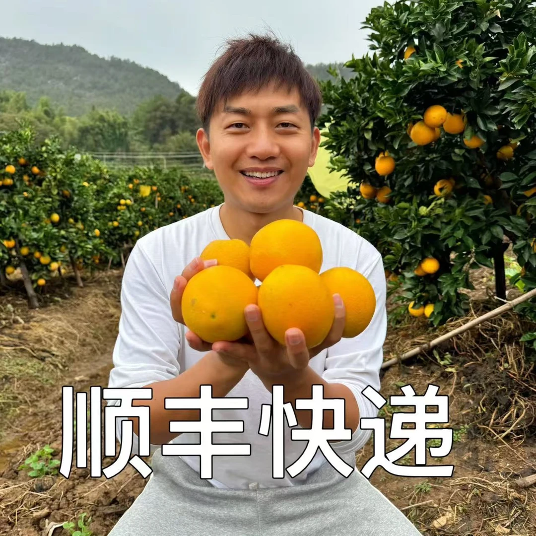 【顺丰发货】AA正宗江西赣南脐橙现摘现发、汁水饱满、鲜甜多汁
