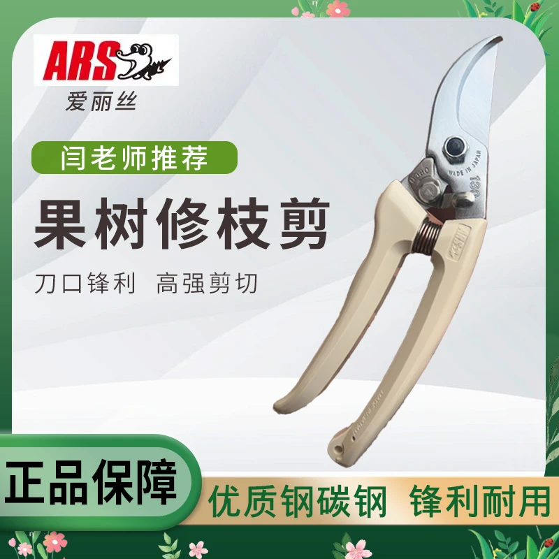 闫老师推荐果树蓝莓修枝剪刀剪枝树剪