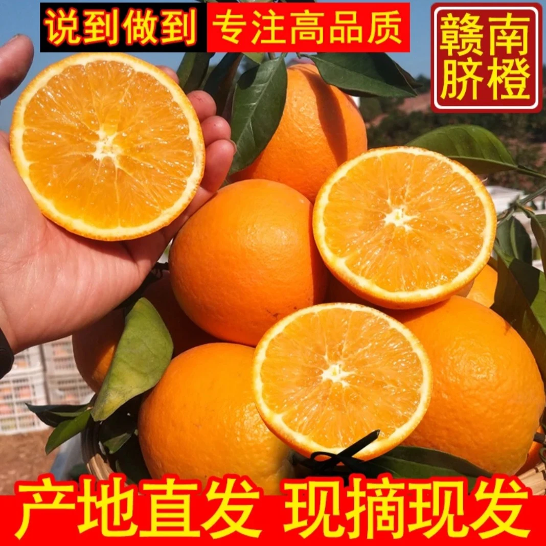 正宗江西赣南脐橙新鲜橙子整箱10斤当季孕妇水果自家果园现摘现发