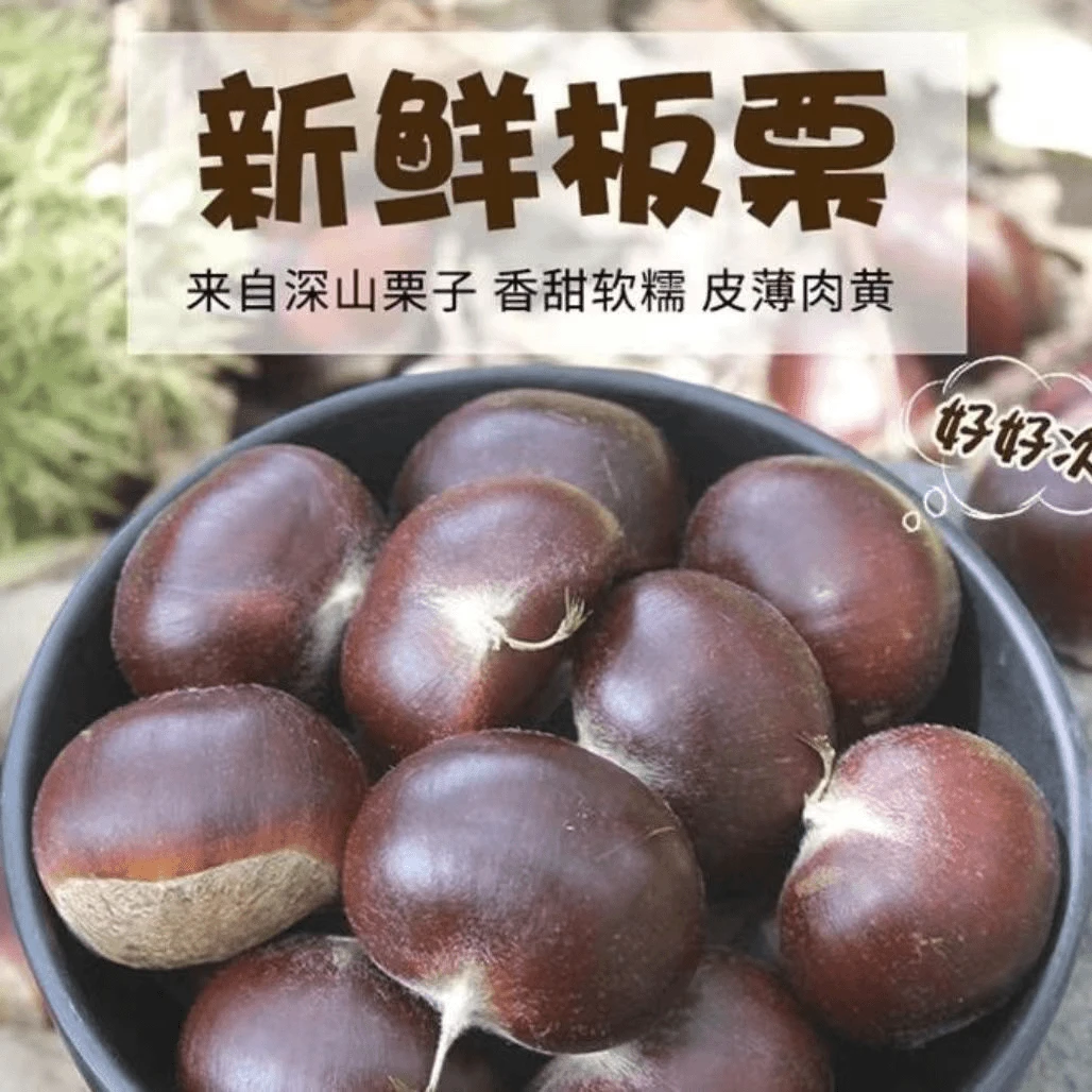 【新鲜板栗】云南油栗生鲜现摘新货发货野生毛栗子非东饱满包赔香甜