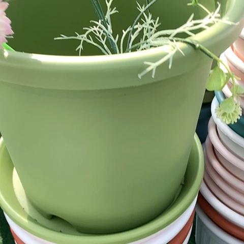 红陶20CM（含）-50CM（不含）5加果绿无托3个