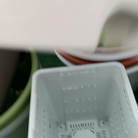 红陶20CM（含）-50CM（不含）3个米色球根无托