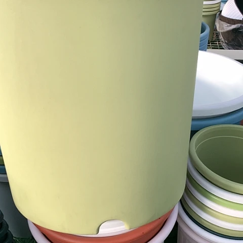 树脂20CM（含）-50CM（不含）7加果绿无托3个