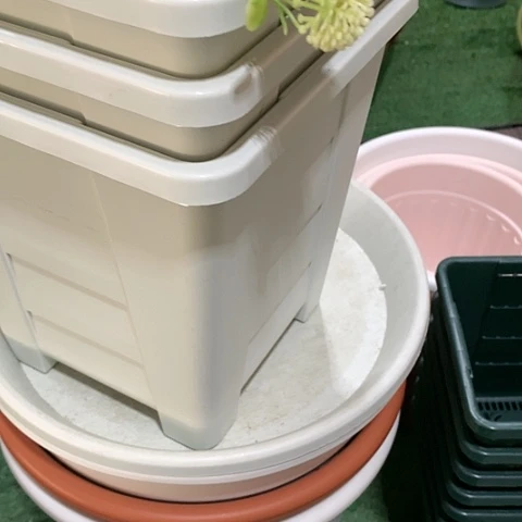 红陶20CM（含）-50CM（不含）22口白方无托微瑕3个