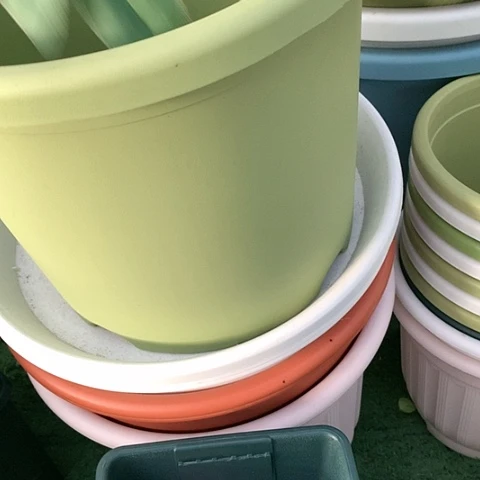 树脂20CM(含)-50CM(不含)4加果绿无托5个