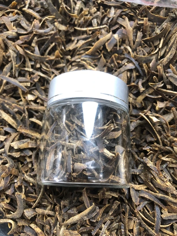 【沉香奇楠】奇楠沉香张勺子虫草 高货高度结油沉水切丝 发一份