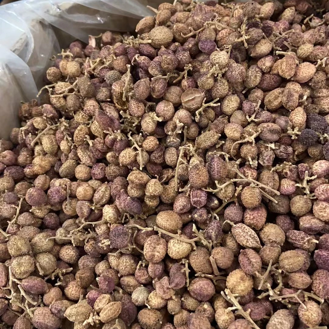 正宗阳江春砂仁 无硫精选