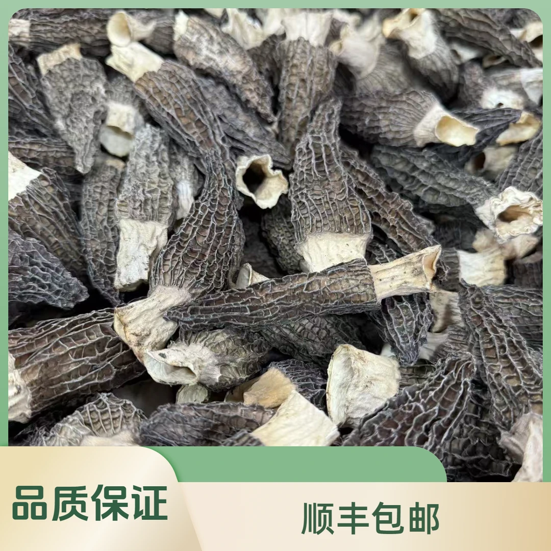 培辉堂精选 羊肚菌