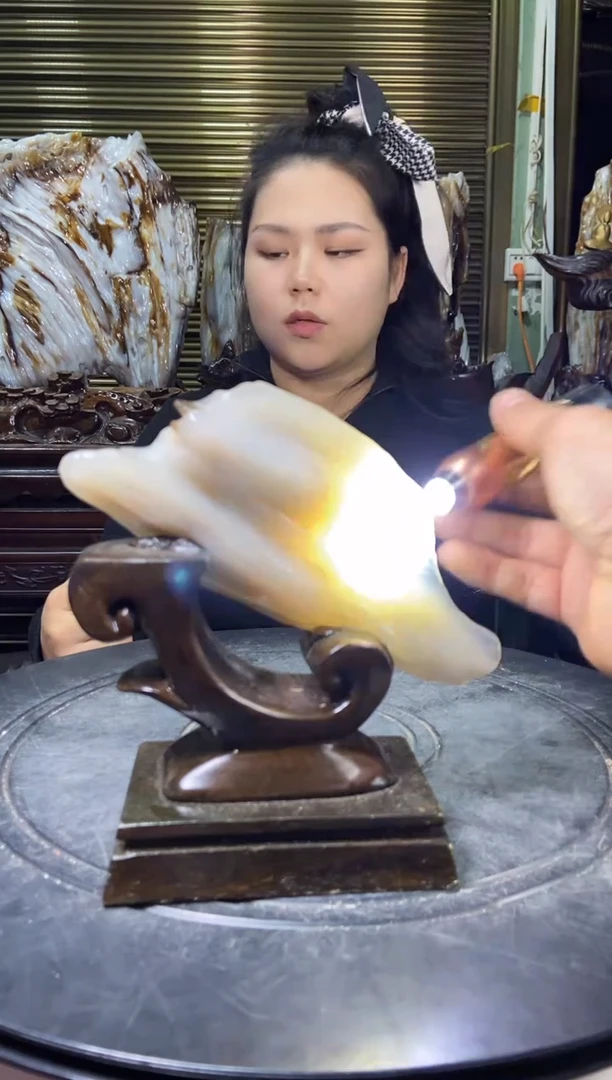 【闪购商品】硅化玉1未镶嵌1