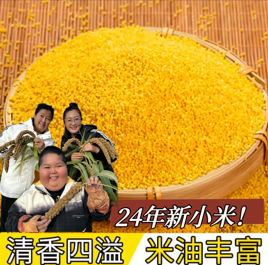 破价福利【大仁仁专属】产地直发地标精品一优质小米 1袋5斤