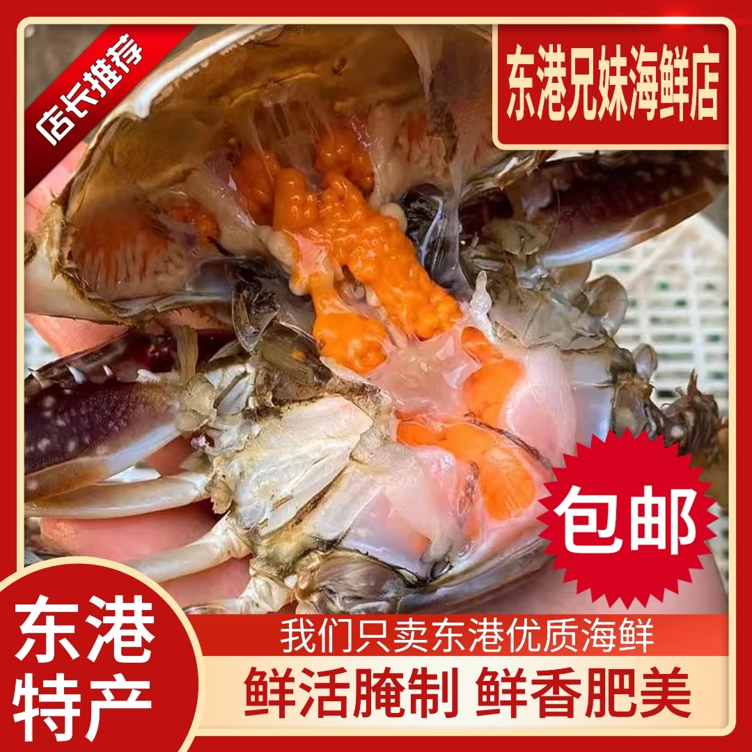 【东港满黄酱母蟹】鲜香顺丰包邮收到新鲜发货美味优质鲜嫩肉质