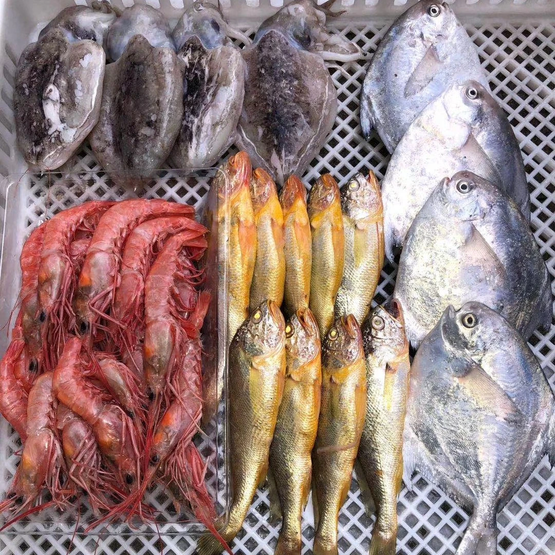 浙江石浦【海鲜礼盒】现称改价500g起3