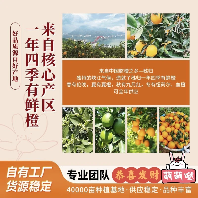 屈姑秭归脐橙果冻橙皮薄多汁现摘新鲜橙子应季基地直发精品水果品