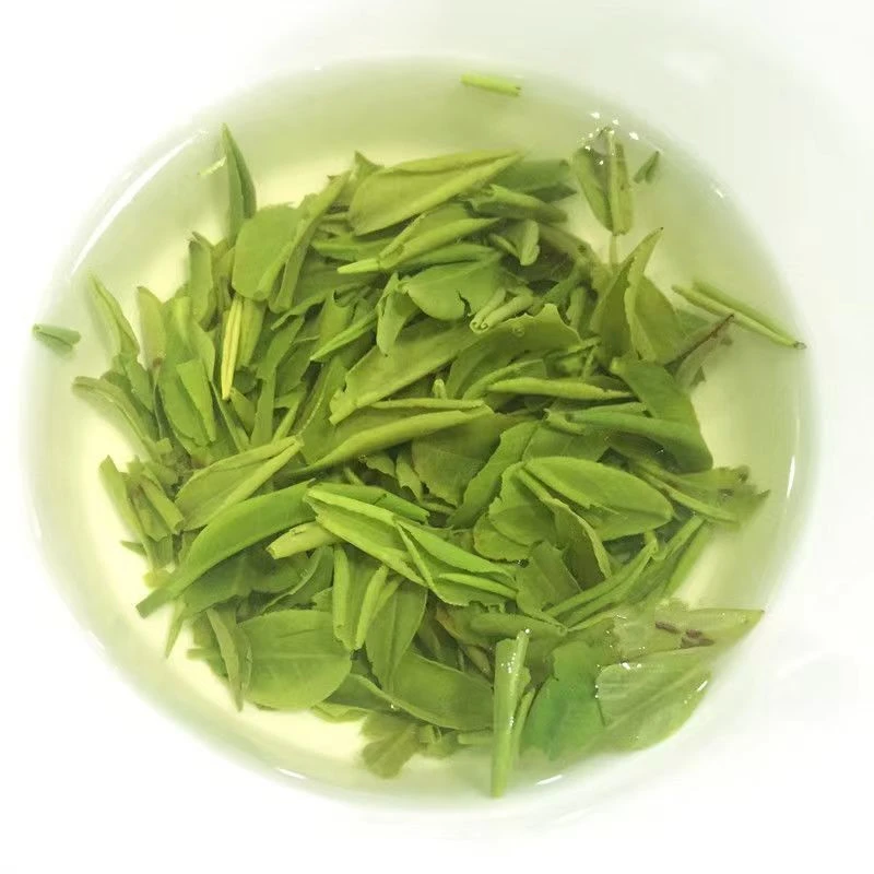 2024年春茶茶片明前绿茶好喝碎茶叶回甘生津鲜甜翠芽正宗高山绿茶