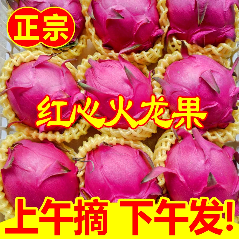 现摘产地直发正宗广西金都一号红心广西火龙果蜜宝红肉新鲜水果