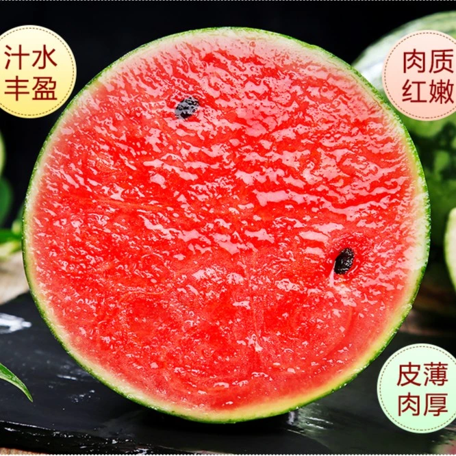 2K西瓜种子薄皮沙瓤小西瓜种籽早熟瓜果南方四季盆栽西瓜籽西瓜