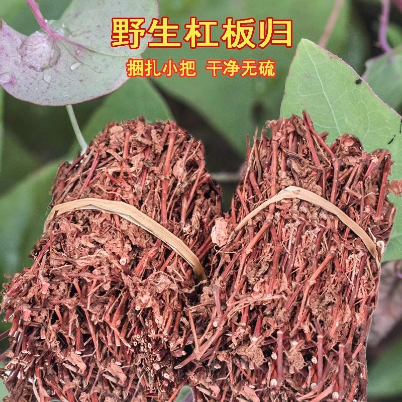 野生杠板归精选晒干刺酸浆老虎刺河白草散装干净包邮另售葛根包邮