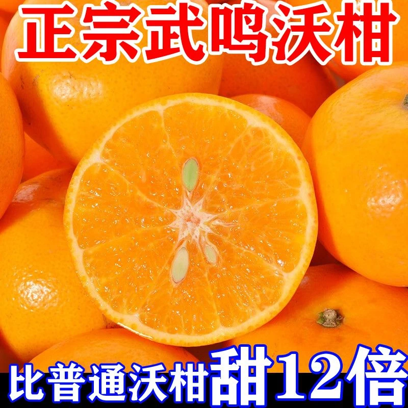 【抢购中】广西武鸣沃柑1-9斤现摘现发基地直发皮薄超甜新鲜水果