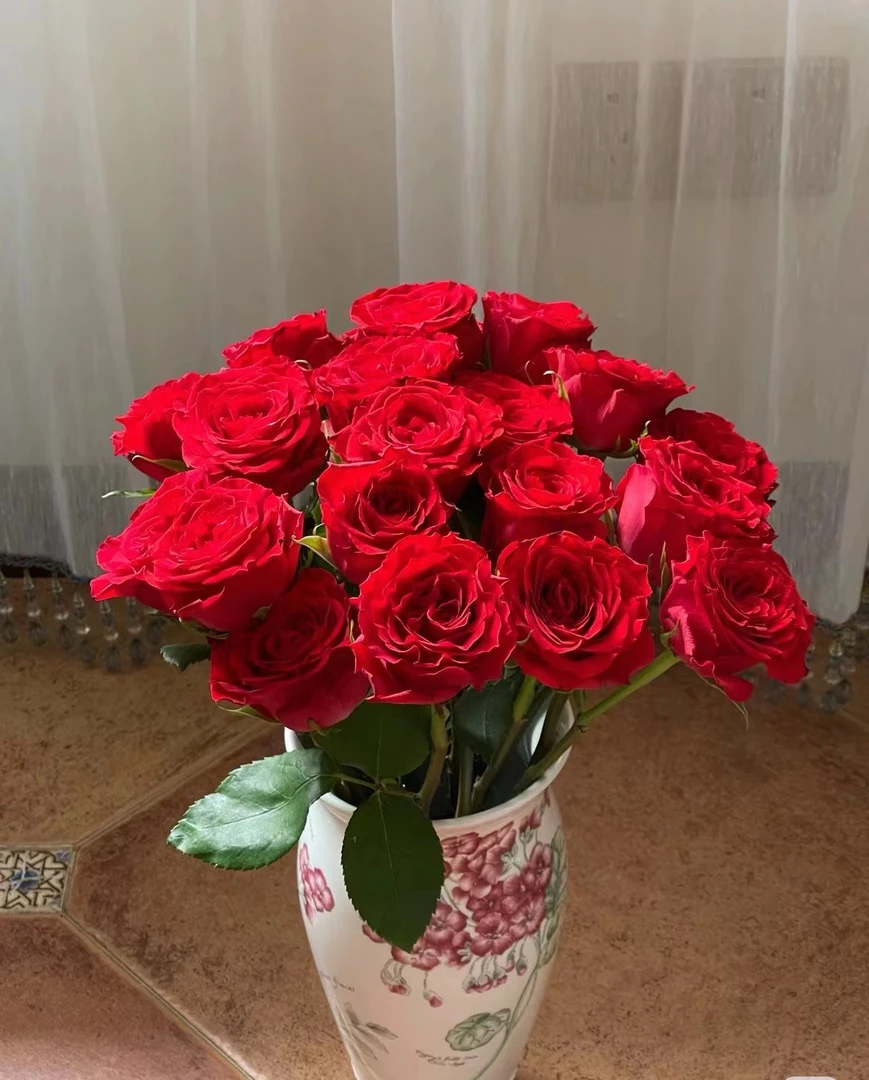 20支赤子之心玫瑰+10支折射 10%不售后   ，售后范围详见商品详情