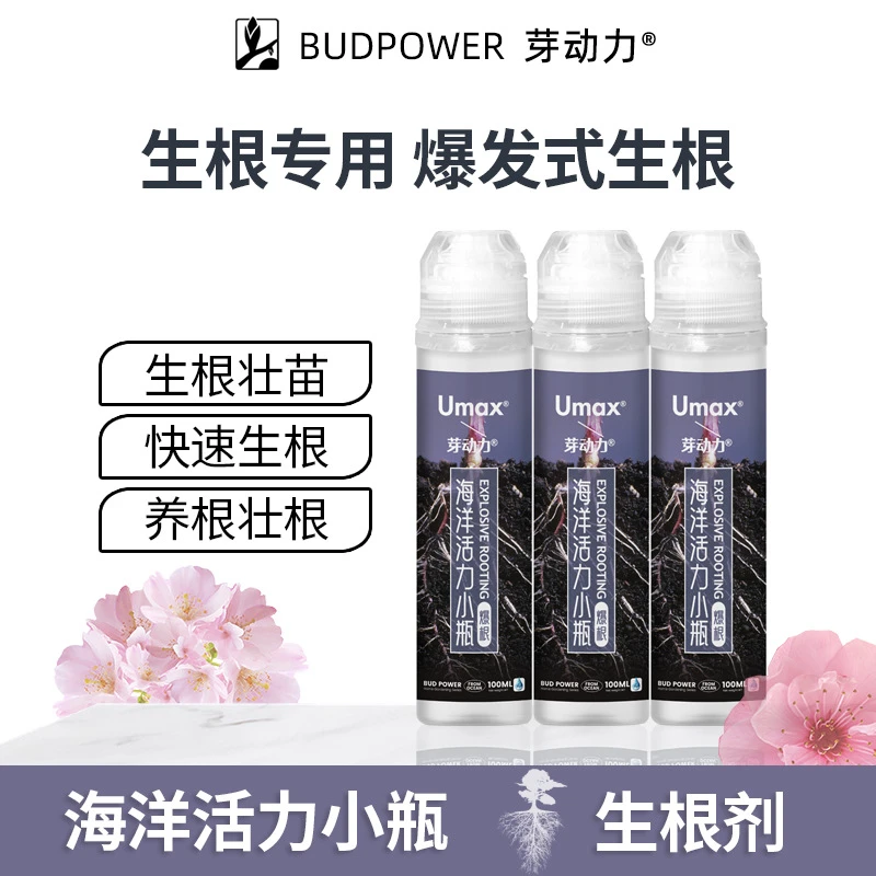 【爆根神器】富贵竹生根液盆栽竹子扦插生根壮根养根壮苗剂促成活液