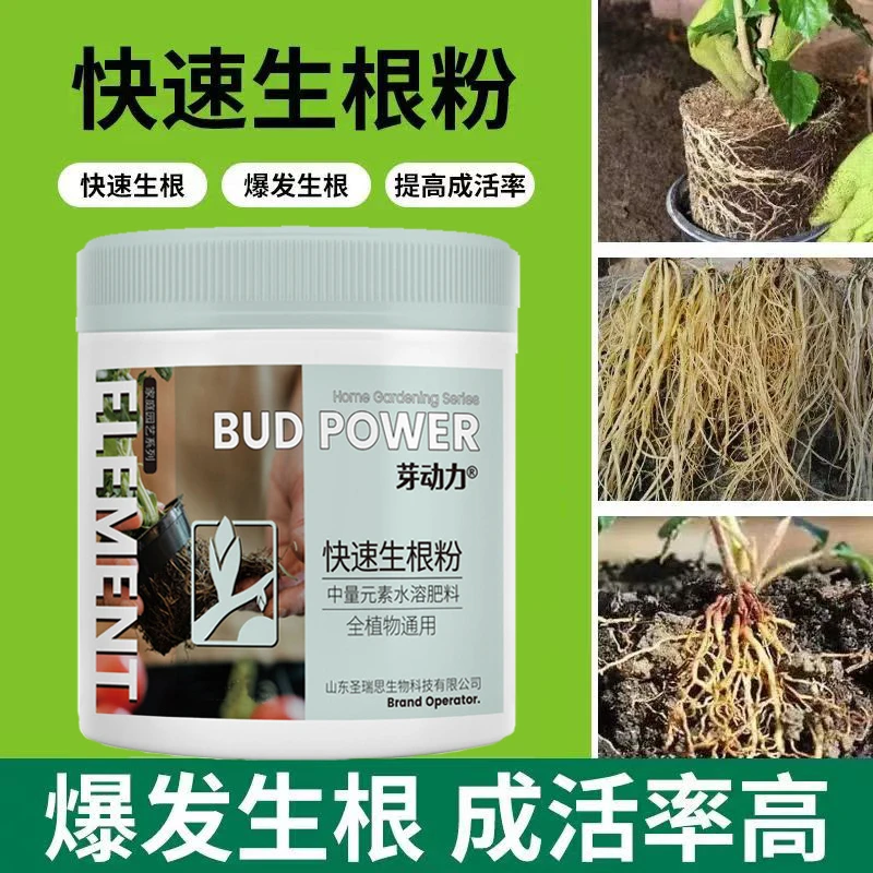 生根粉生根原液水溶肥水培富贵竹多肉植物通用花卉果树移栽扦插肥