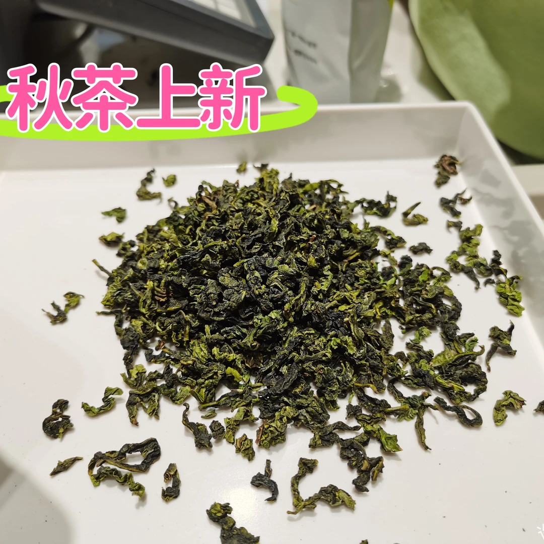 【包邮】许昌网红茶叶铁观音乌龙茶福建铁观音