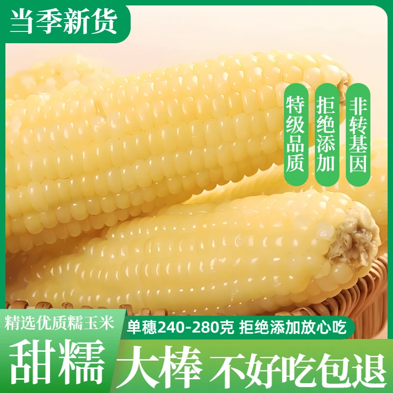 东北十棒整箱5.5-6斤头茬白糯玉米既甜又糯软糯粘香