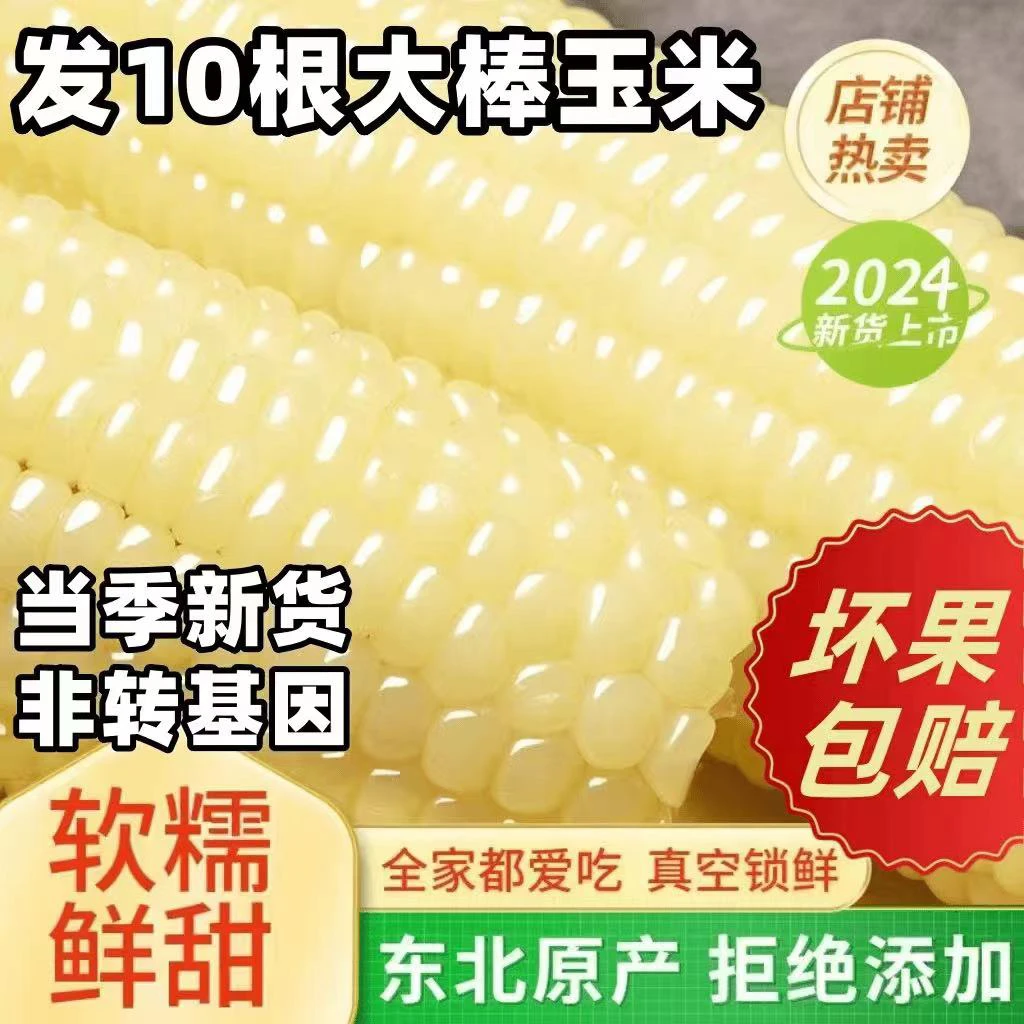 【试吃2棒]东北十棒整箱5.5-6斤白糯玉米既甜又糯软糯粘香