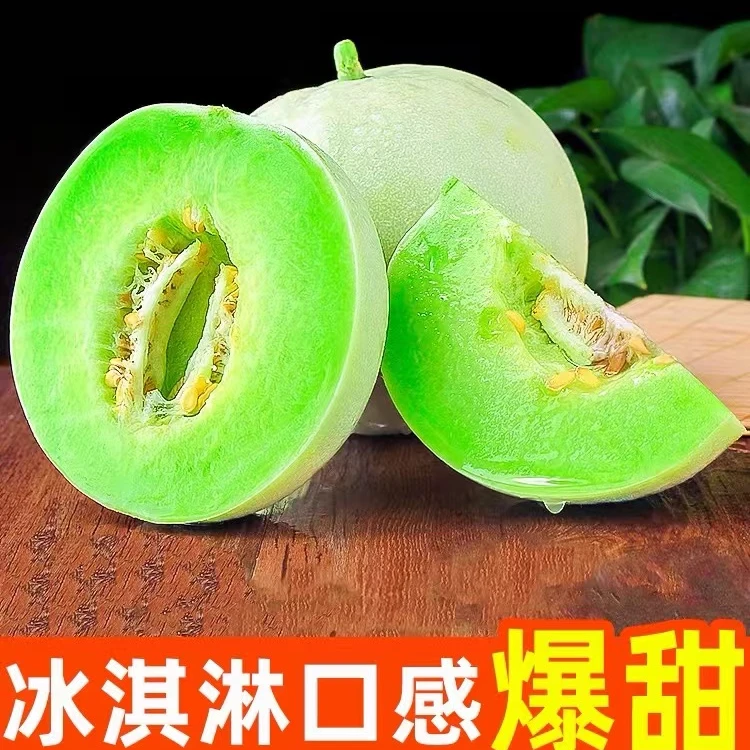 山东冰激凌玉菇甜瓜新鲜水果蜜瓜产地直发