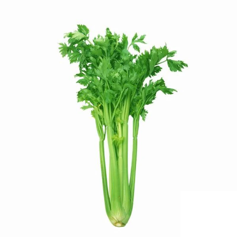 芹菜 约600-700g