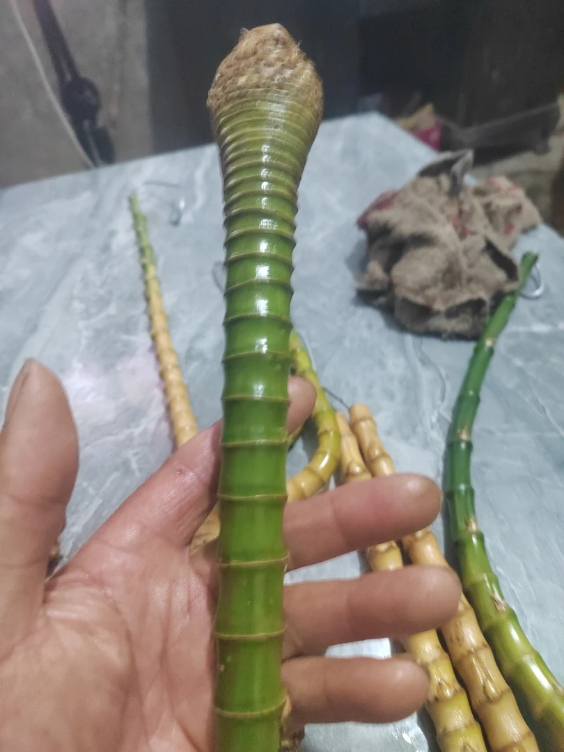 手把件烟杆，休闲玩具，sbjygXawj