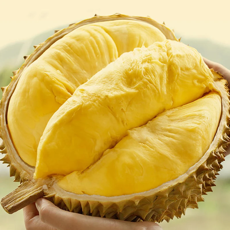 报恩榴莲树熟金枕榴莲A果【默认开果】【长春小时达】