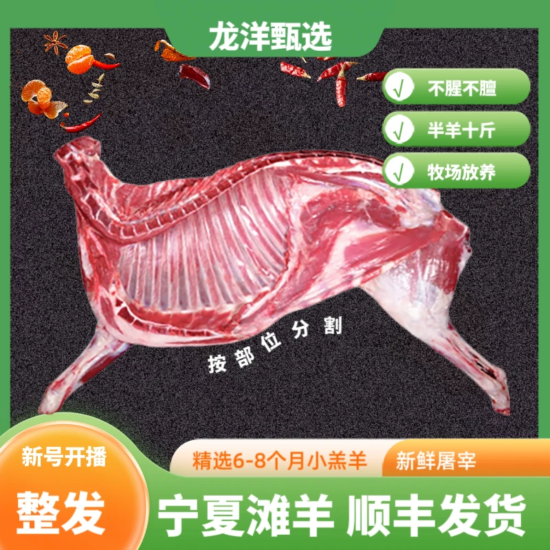 【龙洋甄选】正宗宁夏滩羊-半只10-15斤-整只25-30斤新鲜空运发货